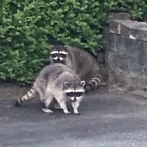 Meet your Posher, Isaac